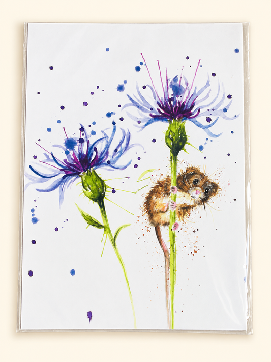 Field Mouse & Cornflowers – A4 Art Print