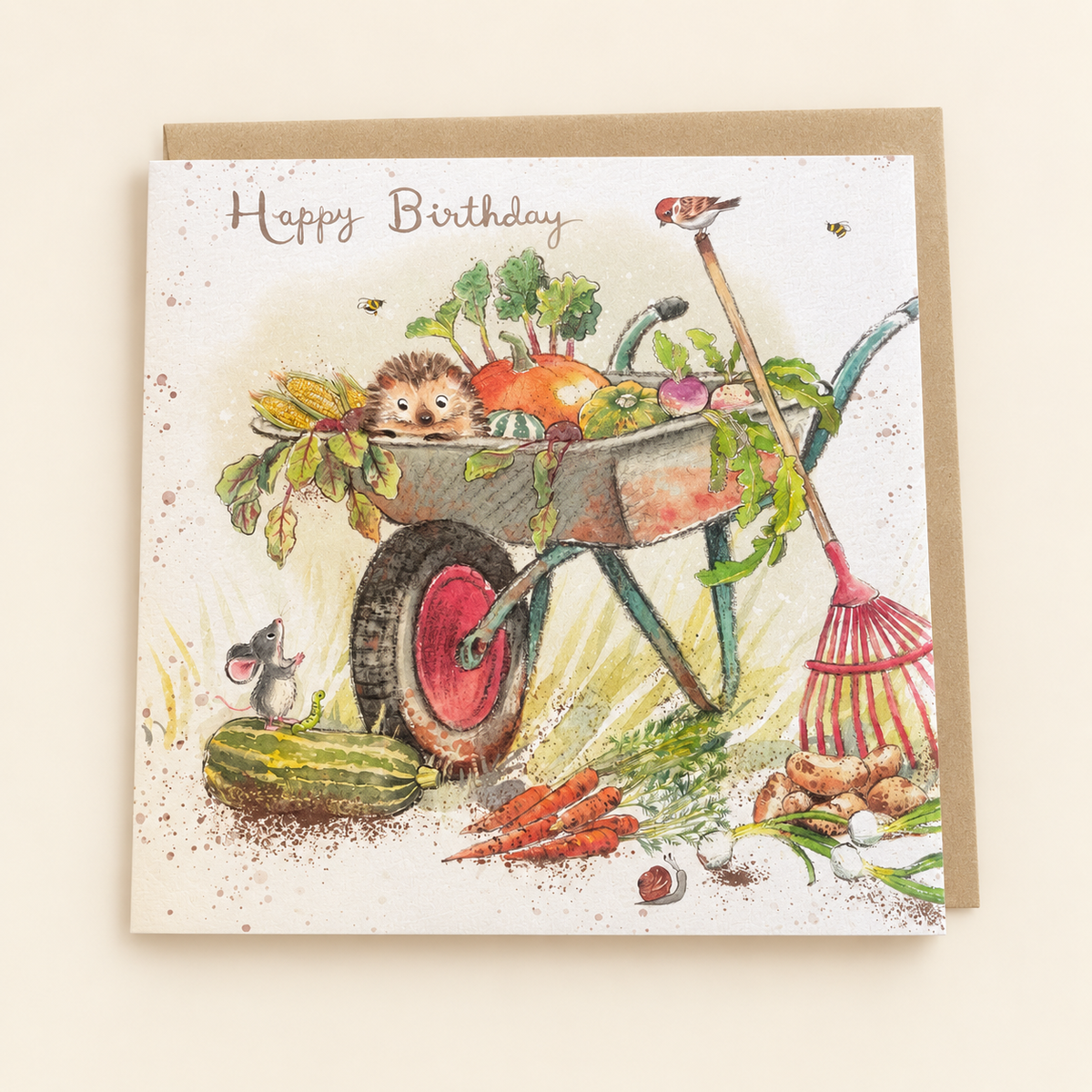 Happy Birthday Hedgehog Garden Wheelbarrow Greeting Card