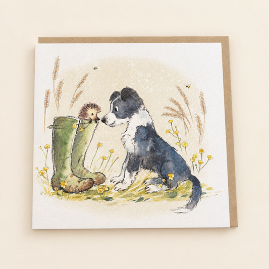 Border Collie & Hedgehog Blank Greeting Card